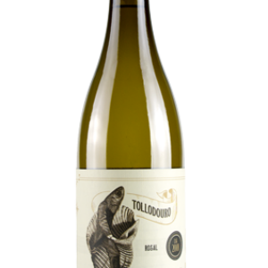 Vino blanco albariño Tollodouro 75cl